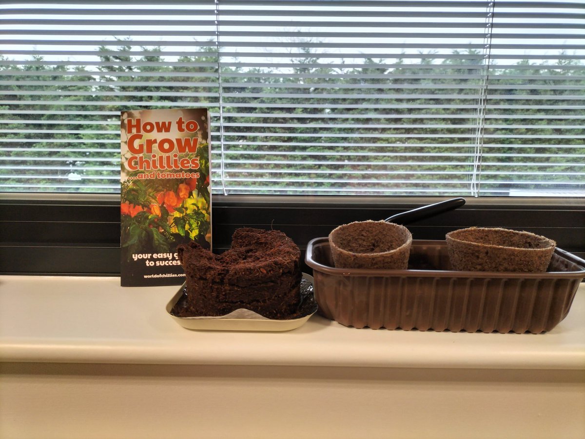 allimunson's tweet photo. Day one.... chilli competition https://t.co/HtvsMTnPvP