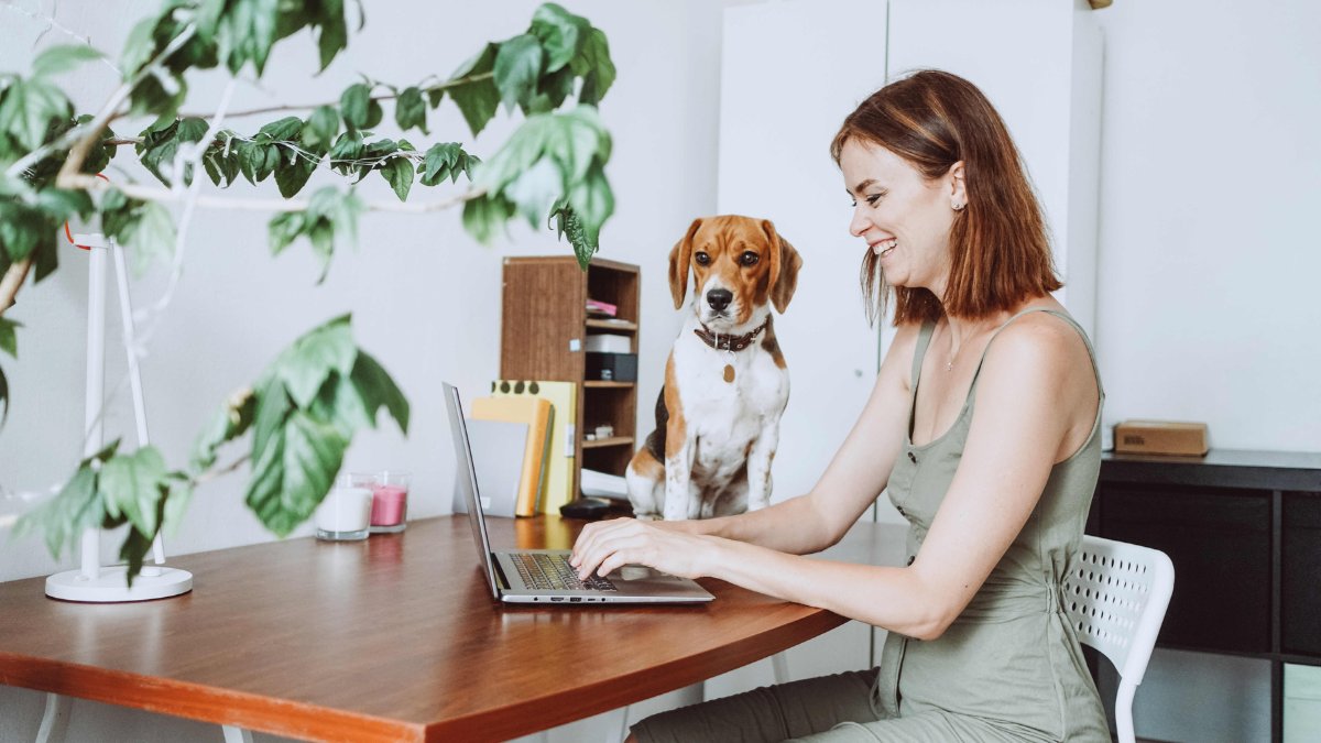 46% of hybrid workers believe their workspace does not suit a hybrid working model &amp; requires modernisation…

Find out more:
linkedin.com/feed/update/ur…