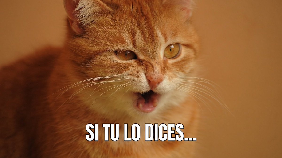 Los profesores nos dicen: "comienzan dentro de poco los exámenes y deberíais empezar a estudiar antes"

Nosotros aún sabiendo que tienen razón: