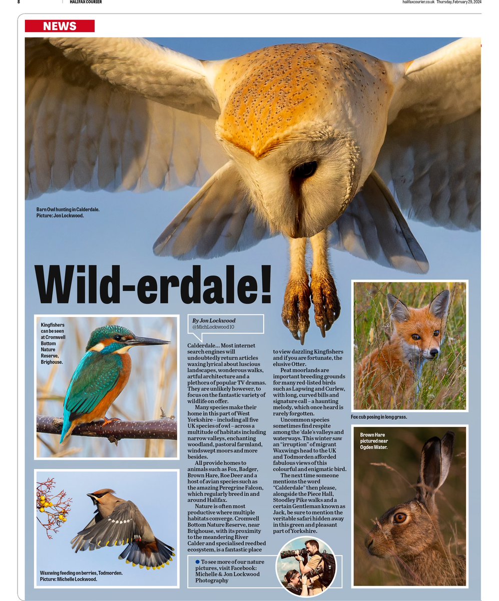 Check out today’s Halifax Courier, Todmorden News and Brighouse Echo to discover the wonderful nature in Calderdale!
Words by Jonny, design by Michelley and pictures by both of us!
#buyapaper
<a href="/HXCourier/">Halifax Courier</a>