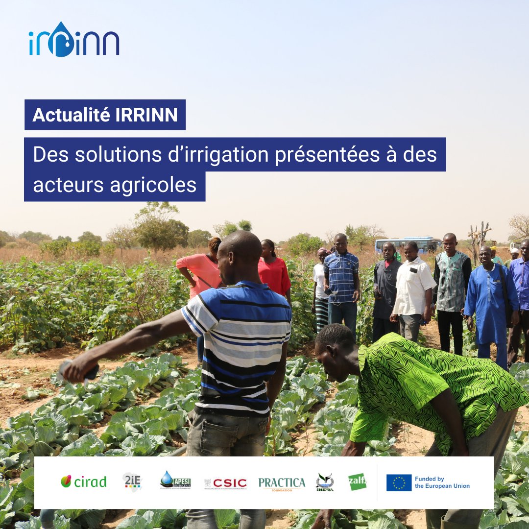 Projet IRRINN tweet media