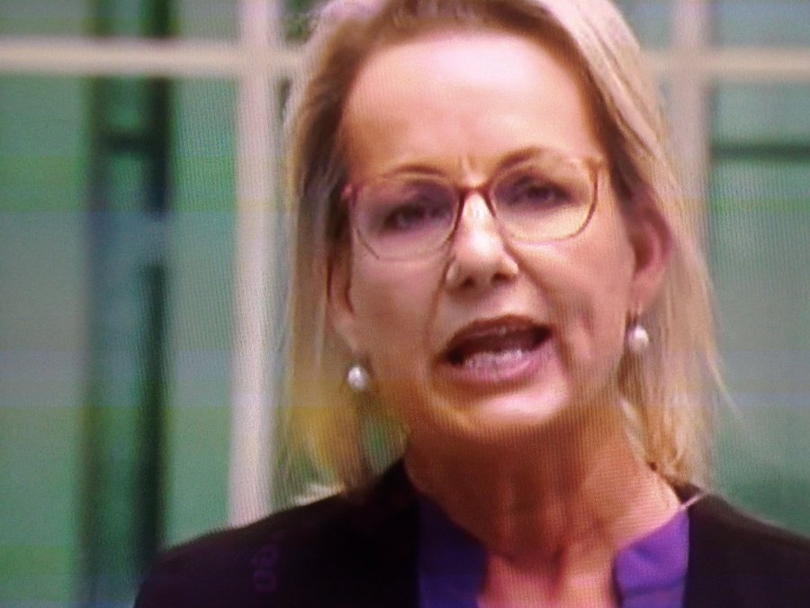 Vote this racist woman out of Farrer at the next election 2025. #SussanLey #Farrer