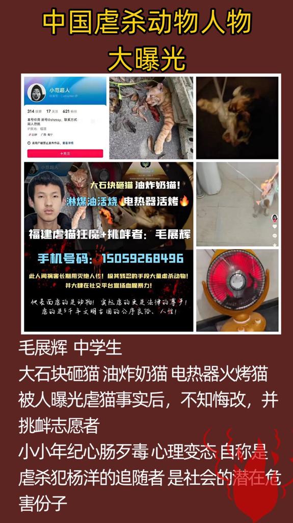 5000tochek's tweet photo. 福建虐猫17岁男孩–毛展辉

@ChineseEmbinUS @ChineseEmbinRus https://t.co/hHtQX5wUec