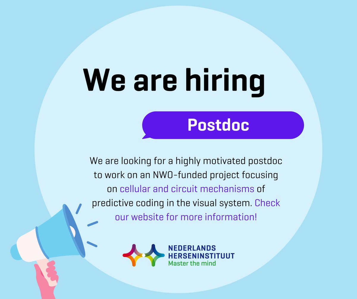 Vacancy Alert 🔬 🧠   We are looking for a highly motivated postdoc to work on an NWO-funded project focusing on cellular and circuit mechanisms of predictive coding in the visual system. Check our website for more information! nin.nl/vacancies/