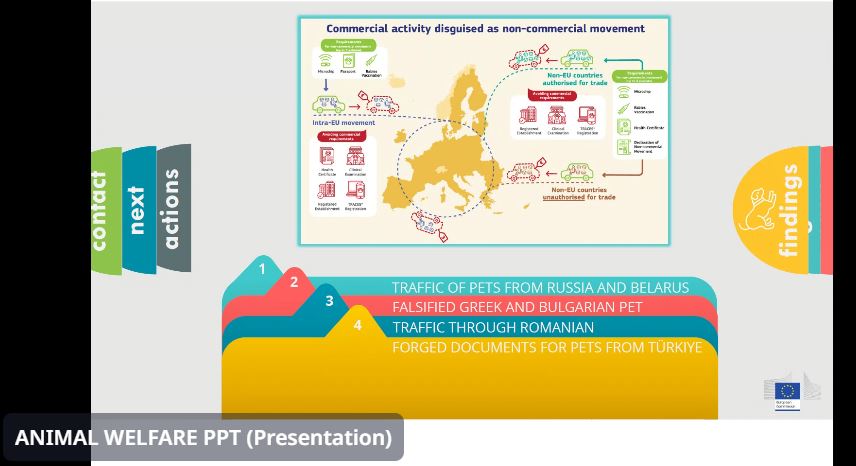 A worrying issue raised in @AWintergroup is the health threats brought by illegal trade in cats & dogs. ▶️In many cases these animals are not vaccinated against dangerous zoonotic diseases like #rabies. 💻Traceability is a key focus of the proposal on welfare of dogs & cats🐶🐱