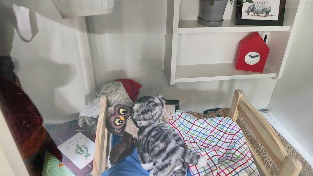 KnightyMister's tweet photo. What is he telling 🤣 https://t.co/ltgVDYsdIg