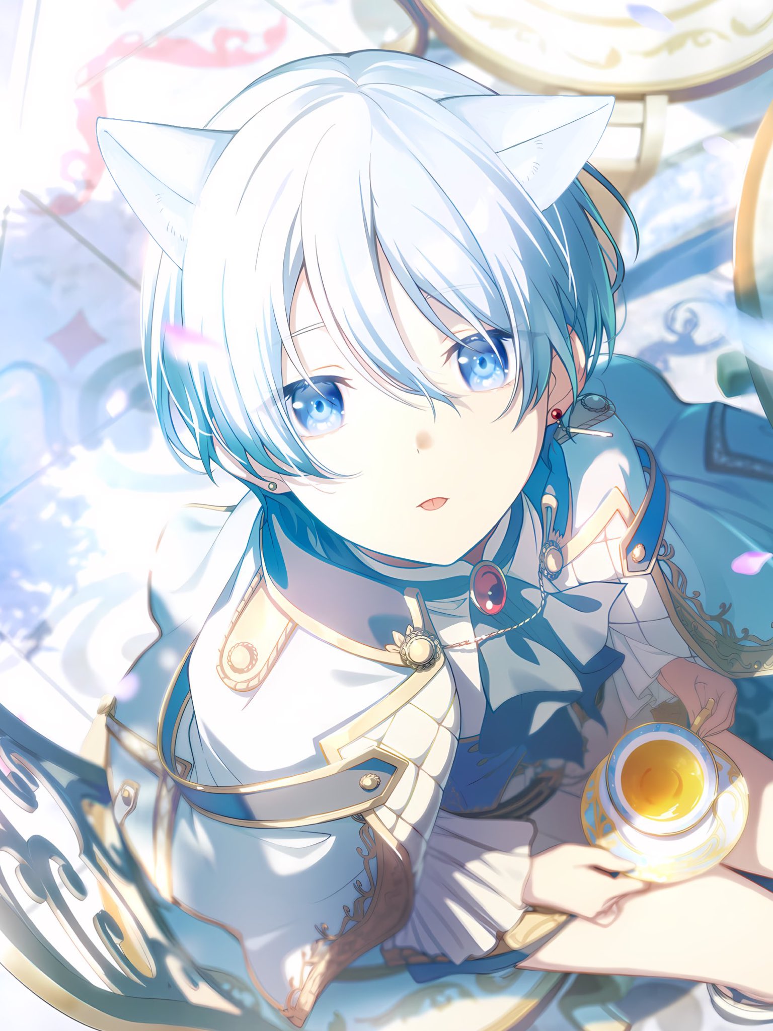ねこさぶれ on X: ねこさぶれ on X: