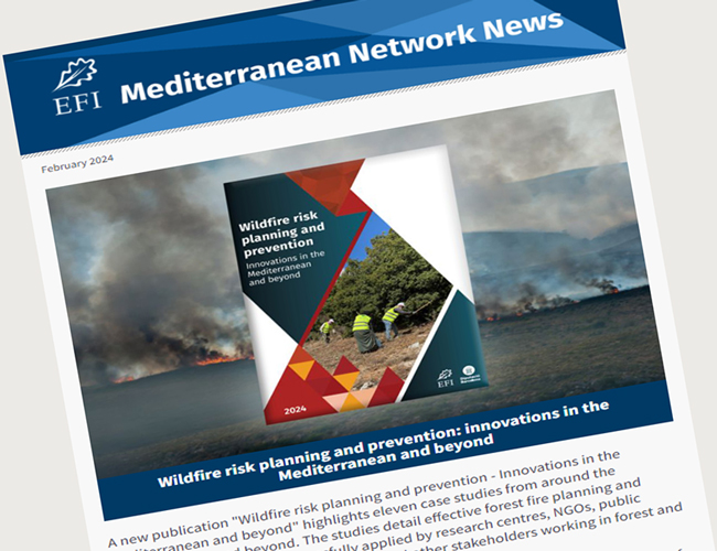 📰Some bulletins only come around every 4 years! Don't miss our latest EFIMED newsletter on #LeapDay! Check out what's new in February from our #Mediterranean network & what's in store for the spring! 🔎Blog articles, publications, events & much more! mailchi.mp/efi/efi-networ…