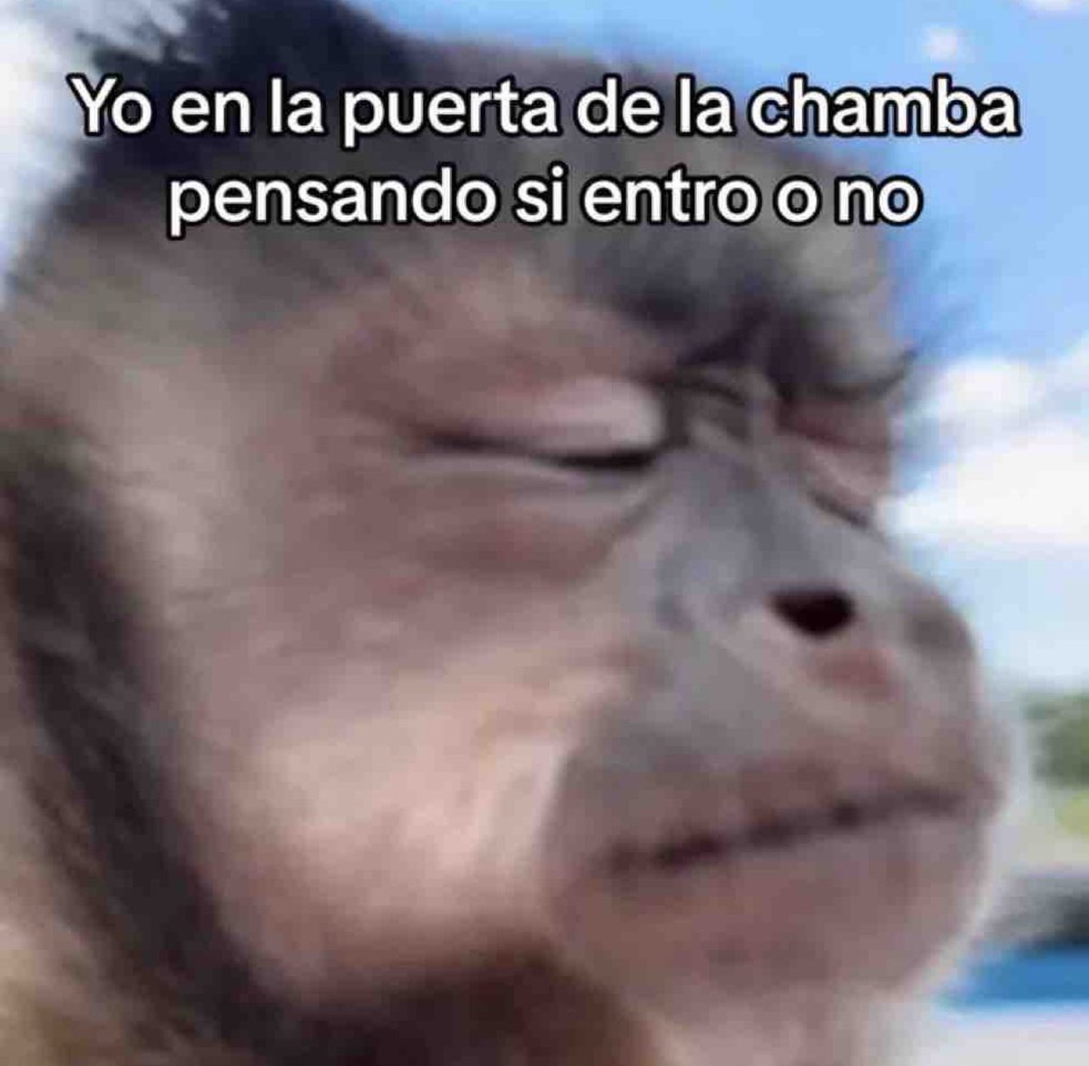 Post by El Guarromántico on X: Mood:, image size:1200x1175