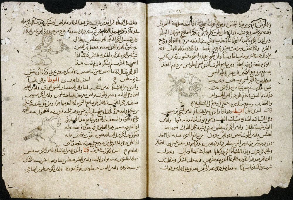 In their introduction to our special issue on translation (Correspondences Vol 11.1), Wouter Hanegraaff and Mriganka Mukhopadhyay note the complex relationship between esotericism studies and English, and its implications for translating esotericism. Link: bit.ly/3ubAzDK