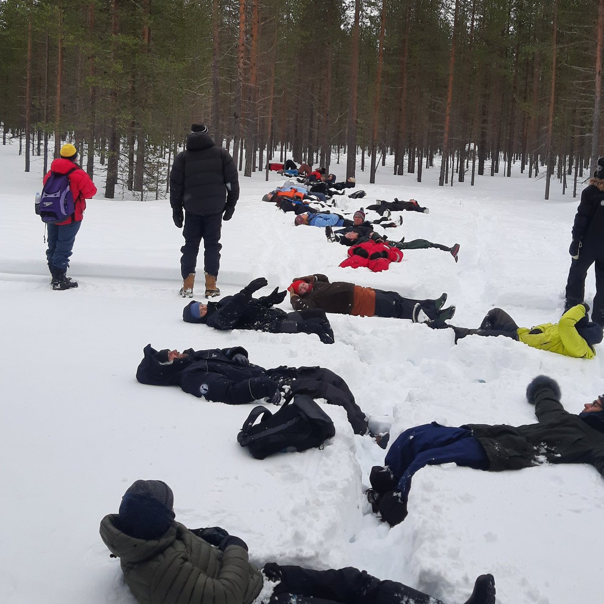 8th #EGU Snow Science Winter School makes good use the students as Sky View Fraction observers. Great experience being a lecturer: thanks @FMI_Snow for the invite, and all involved for interactions!