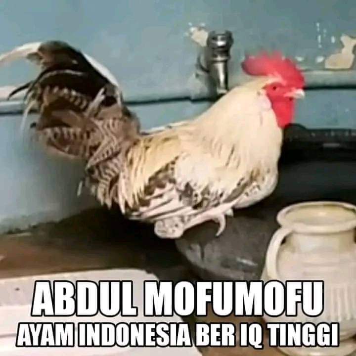Andrian12gg's tweet photo. @MineRose_id https://t.co/eAMVvL7Xvn