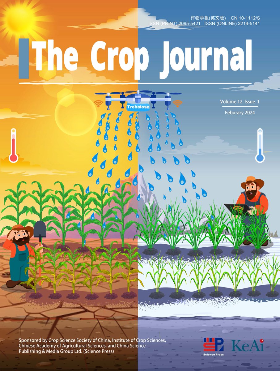 '#Trehalose: a #sugar molecule involved in #temparature stress management in #plants' published in #The_Crop_Journal together with @Ale_Raza6 @KadambotS @rajvarshney and others. Happy to see the work theme on #Journals_Cover_image. sciencedirect.com/science/articl…
