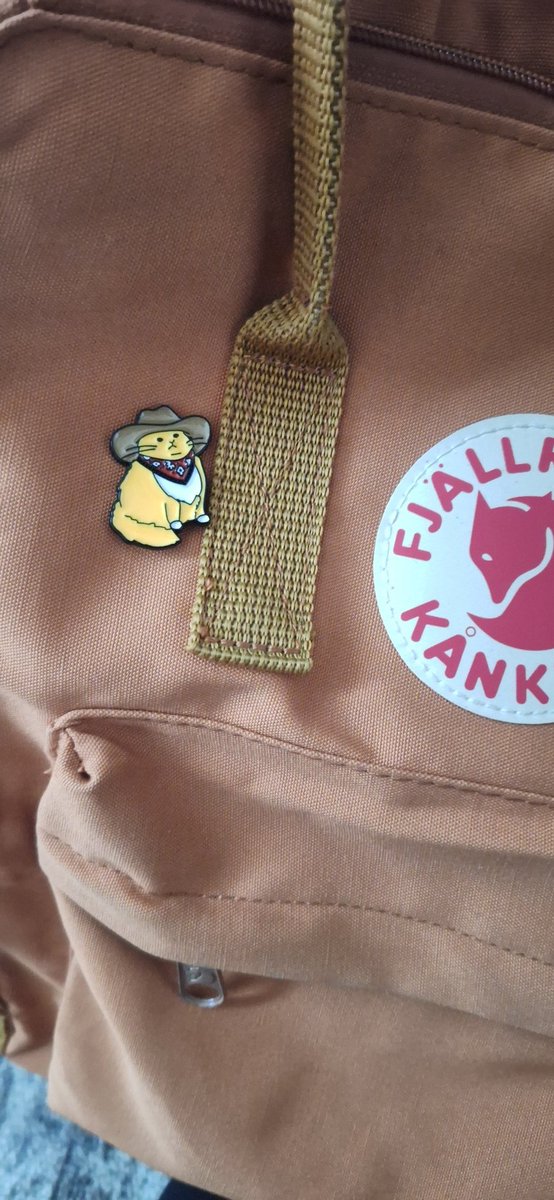 Прилетел мой котик - брошь 🤩
Теперь нам будет весело ходить на работу вместе