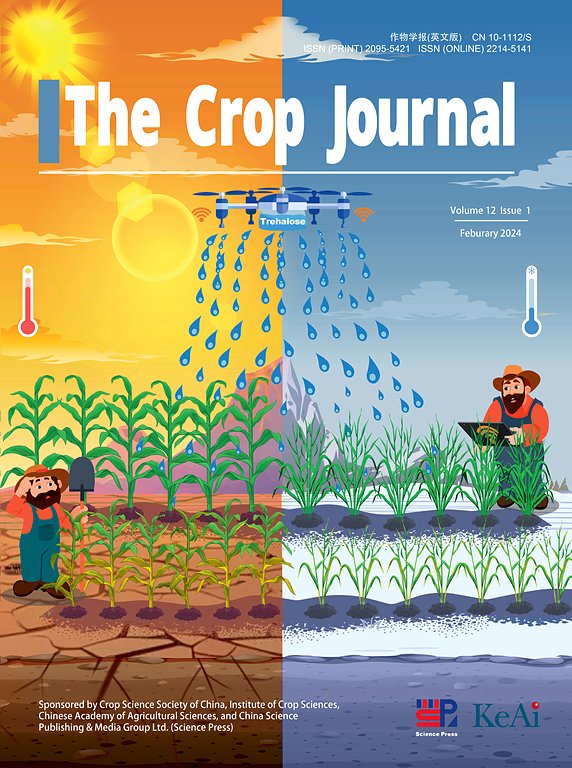 As they say- "A picture is worth a thousand words", the cover image captures the essence of our article- Trehalose: A sugar molecule involved in temperature stress management in plants published in The Crop Journal - 
Enjoy paper:
sciencedirect.com/science/articl…
<a href="/Ale_Raza6/">Ali Raza</a> @ELSenviron