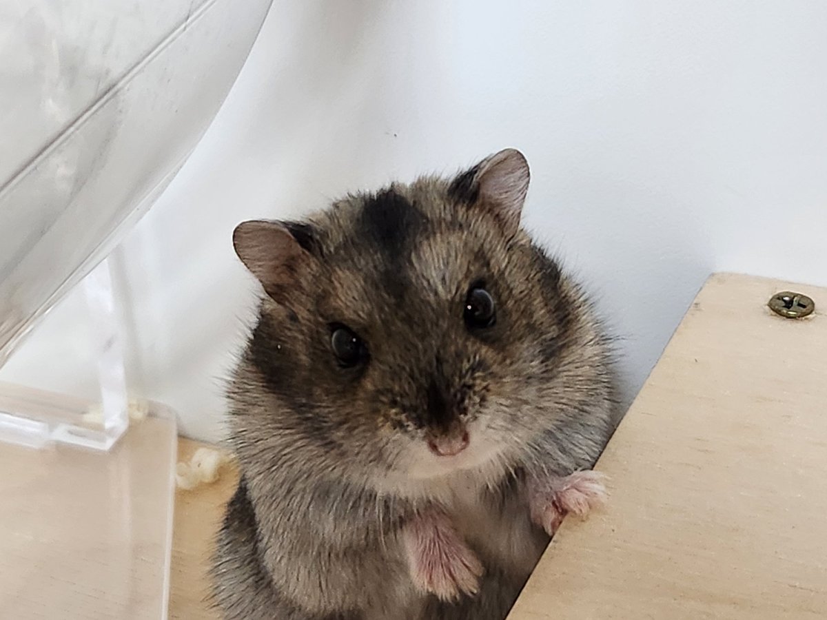 너 이거 무슨 표정이야