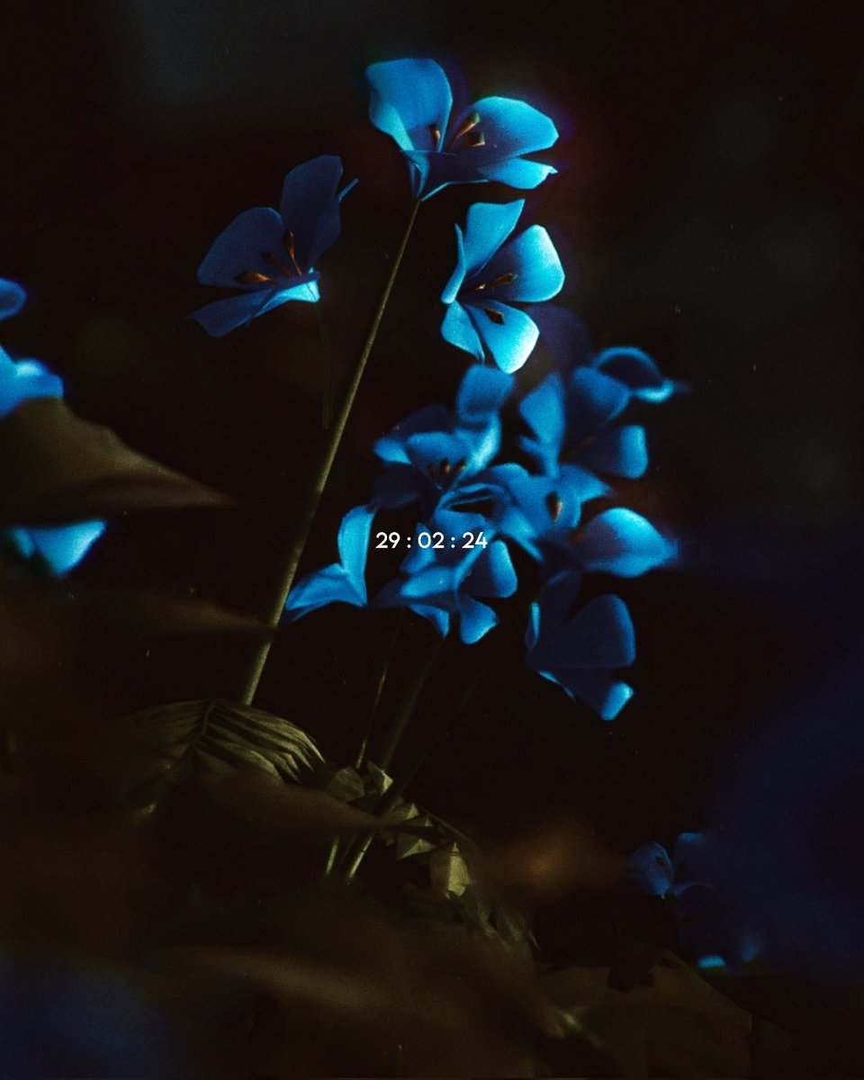 𝘢𝘪𝘮𝘢𝘳. (@arcade_fantasy) on Twitter photo 