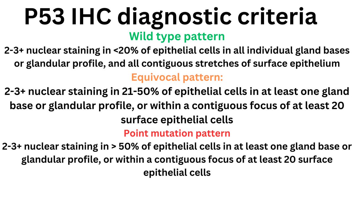 p53 in Barrett's dysplasia. Could someone put me out of my misery? How do I use these guidelines? How does one define 2+ p53? and how do I count 20%?