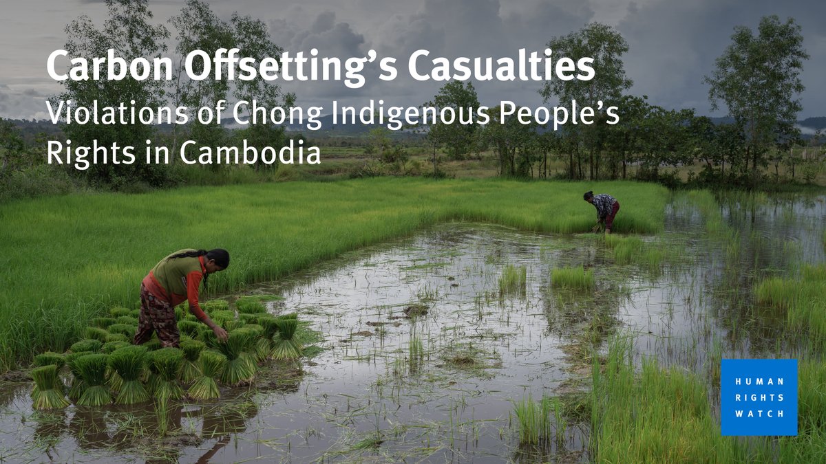 Too many carbon offsetting projects are ineffective globally and abusive locally. 

A new HRW report describes some of the human rights harms these projects can lead to, looking in detail at a major carbon offsetting project in Cambodia. hrw.org/news/2024/02/2…