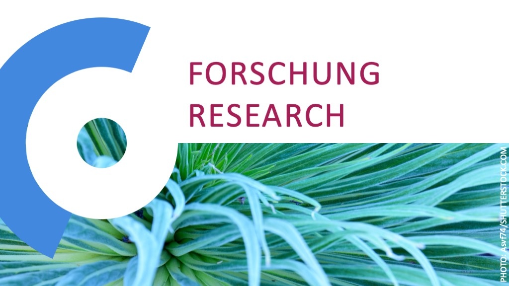 Digitale Strategien zur Bestanderfassung in der Baudenkmalpflege, Interview mit Prof. Andres Putz (<a href="/TU_Muenchen/">TU München</a>). Ausdrücklich erwähnt ist unser Projekt @baureka_online als Bindeglied zwischen #NFDI und Einzellösungen der Ämter+Büros.
👉tinyurl.com/24mc59o4
<a href="/RWTH/">RWTH Aachen</a> <a href="/TUBerlin/">TU Berlin</a>