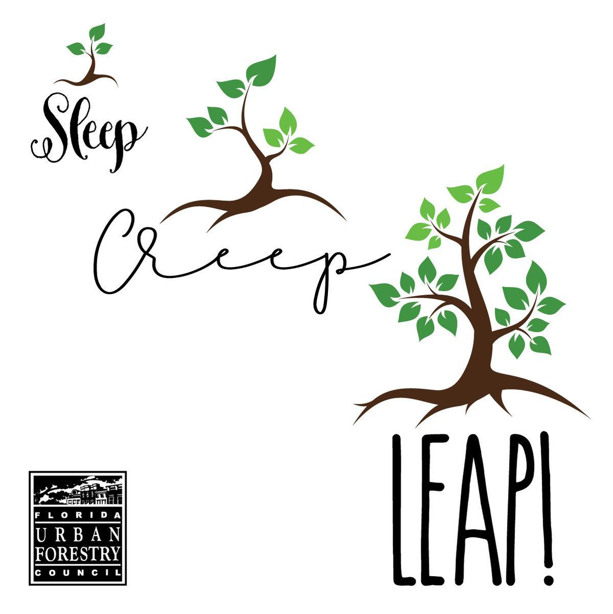 It’s a leap year! DYK? Newly planted trees leap around the 3rd year of growth. 1st year = sleep building the internal infrastructure. 2nd year = creep along as it develops the proper balance between root and shoot growth. 3rd year will start its leap!

#FloridaTrees #LeapYear2024