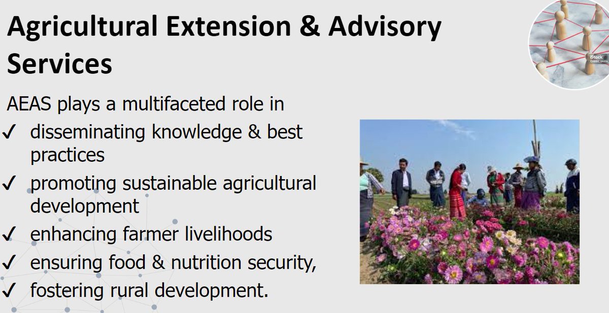 Dr Lillian Lihasi of @afaasinfo shares the global landscape of agricultural extension and advisory services (AEAS), and the multifaceted role of AEAS. Currently, AFAAS is implementing five #agroecology projects in 11 countries on the African continent.