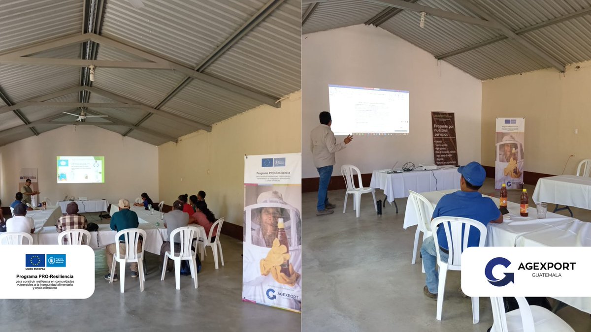 AlianzasAG's tweet photo. Se capacita a 13 personas apiculturas de El Progreso sobre Reglamentos en Centros de Acopio Apícola 🐝 como parte de las acciones del Programa #ProResiliencia, financiado por @UEGuatemala 🇪🇺 e implementado por @WFPGuatemala, en alianza con @AGEXPORTGT ✅ https://t.co/TEmFQdtWsF