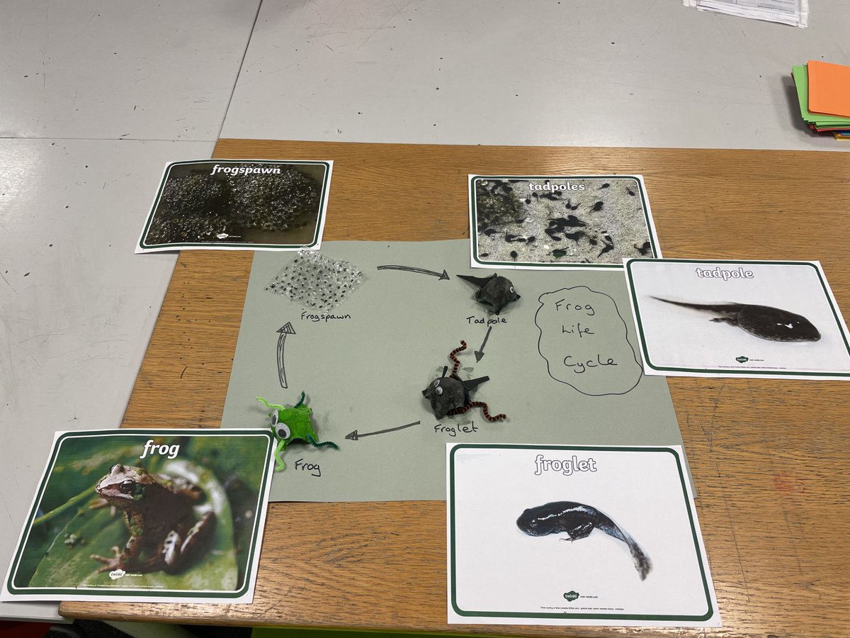 Happy Leap Day!

The garden club have been learning all about the life cycle of frogs and making their own paper frogs!

They also got stuck into creating their own stunning paper flowers which looked amazing.