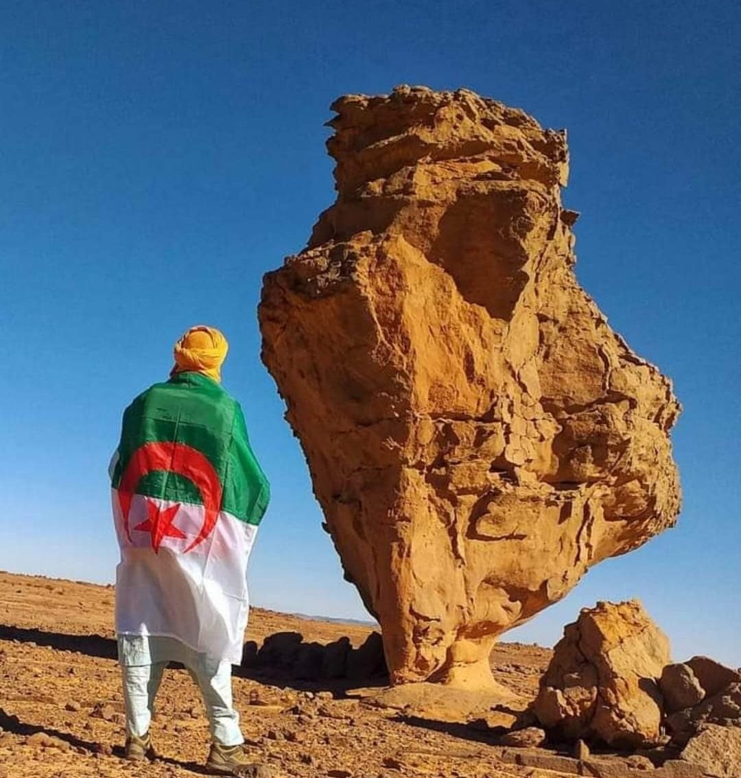 أنعم انها الجزائر القاره