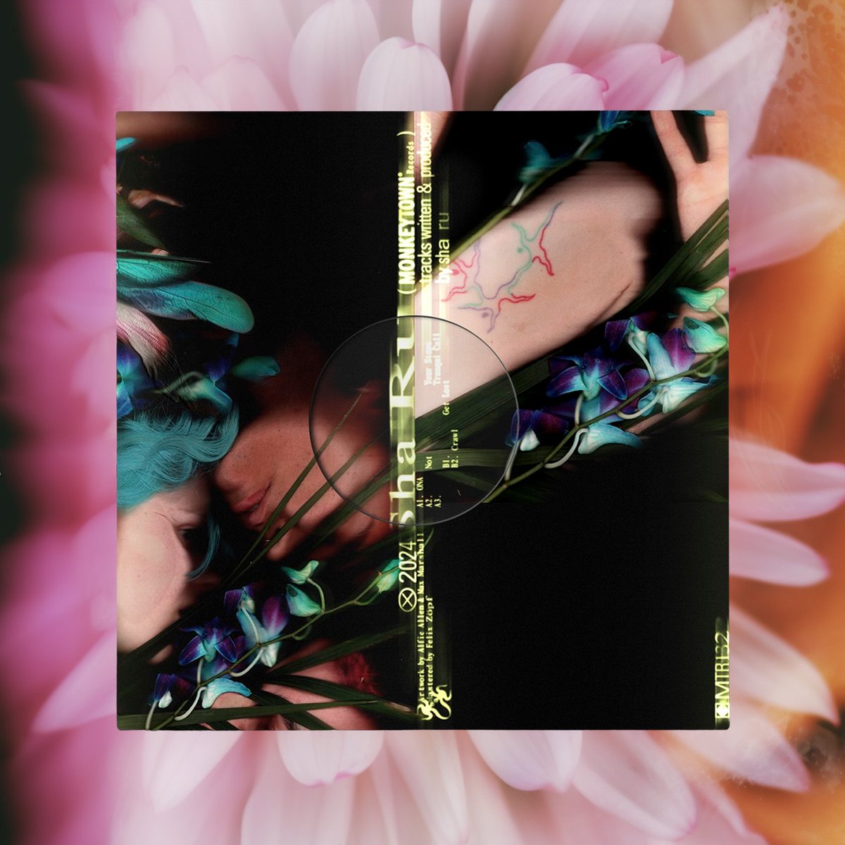 Monkeytown Records tweet media