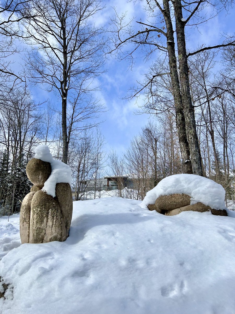 Wishing everyone a Happy Leap Day! Enjoy every minute! #myhaliburtonhighlands #comewander #haliburtonlife #leapday2024 #LeapDay