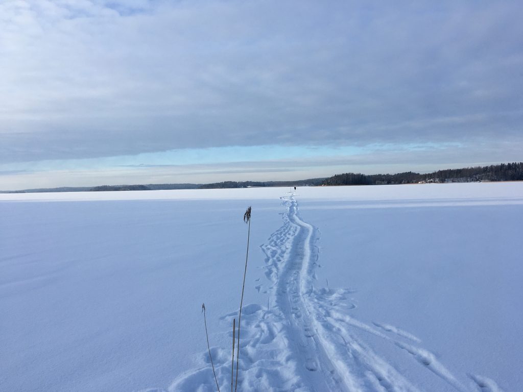 Morphing sea ice in Kiila. A ❄️frosty ❄️ audio essay by Finnish composer Lau Nau for our #Coddiwomple section: tales on favorite spots.
florilegio.org/coddiwomple/la…