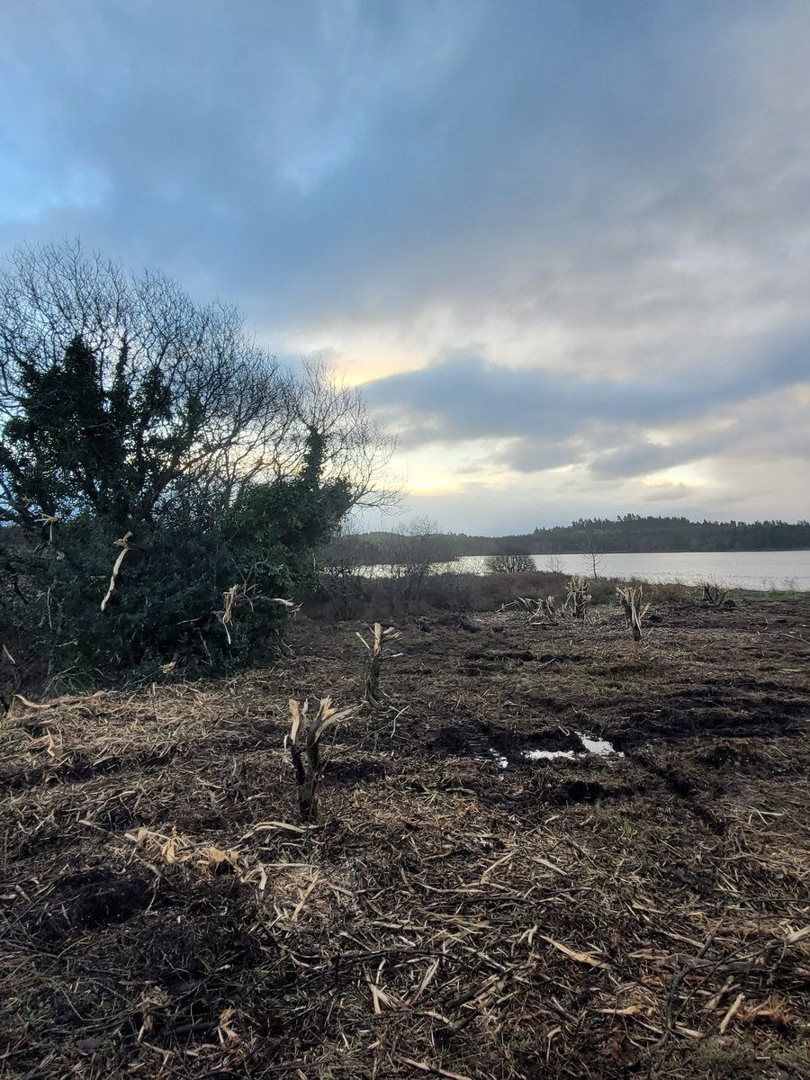 Bryan Kennedy tweet media