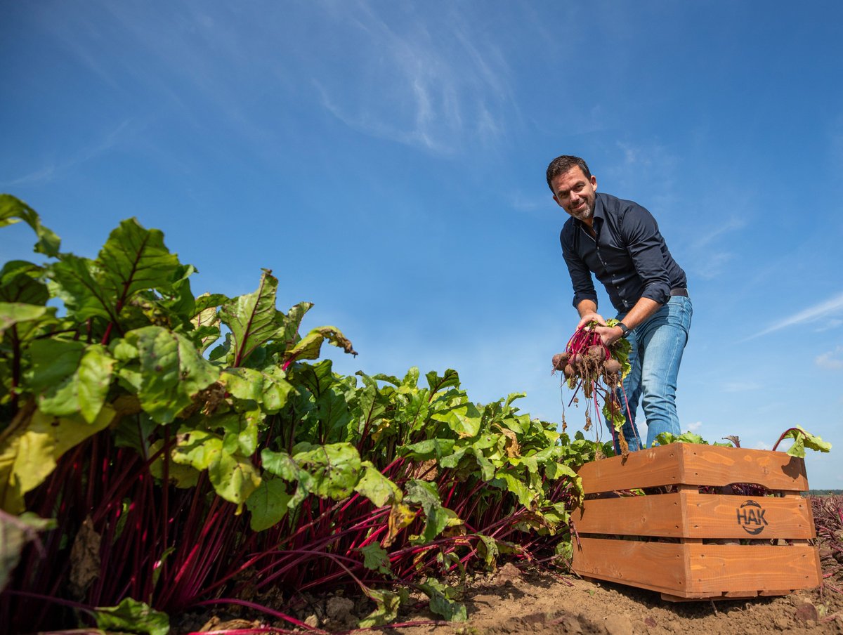 Duurzaamheid.nl (@dzh_nl) on Twitter photo Na de rode bieten gaat <a href="/HAKgroenten/">HAK Groenten</a> volledig over op biologische teelt van sperziebonen, boerenkool en witte kool (zuurkool) van Nederlandse bodem. Naar verwachting liggen de biologische sperziebonen, boerenkool en zuurkool van HAK dit najaar in de supermarkt. Na de rode bieten gaat <a href="/HAKgroenten/">HAK Groenten</a> volledig over op biologische teelt van sperziebonen, boerenkool en witte kool (zuurkool) van Nederlandse bodem. Naar verwachting liggen de biologische sperziebonen, boerenkool en zuurkool van HAK dit najaar in de supermarkt.