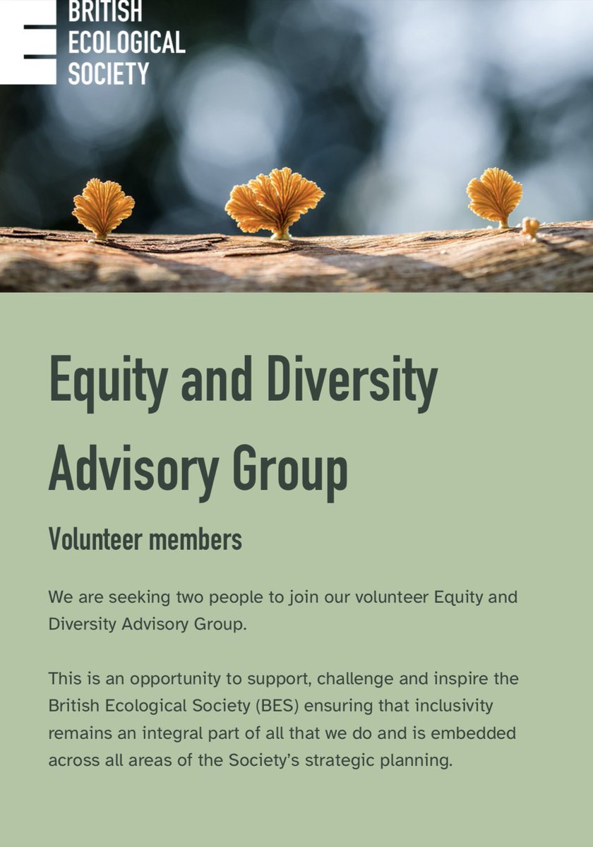 BES SEED Network tweet media