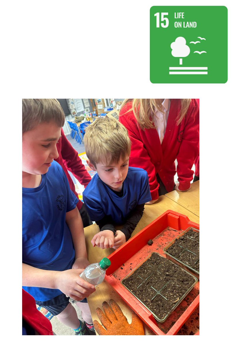 The Sustainability Squad Biodiversity group have been sowing cosmos which we will be planting for pollinators in the summer 🌱 #SDG10 #ThisisLfS