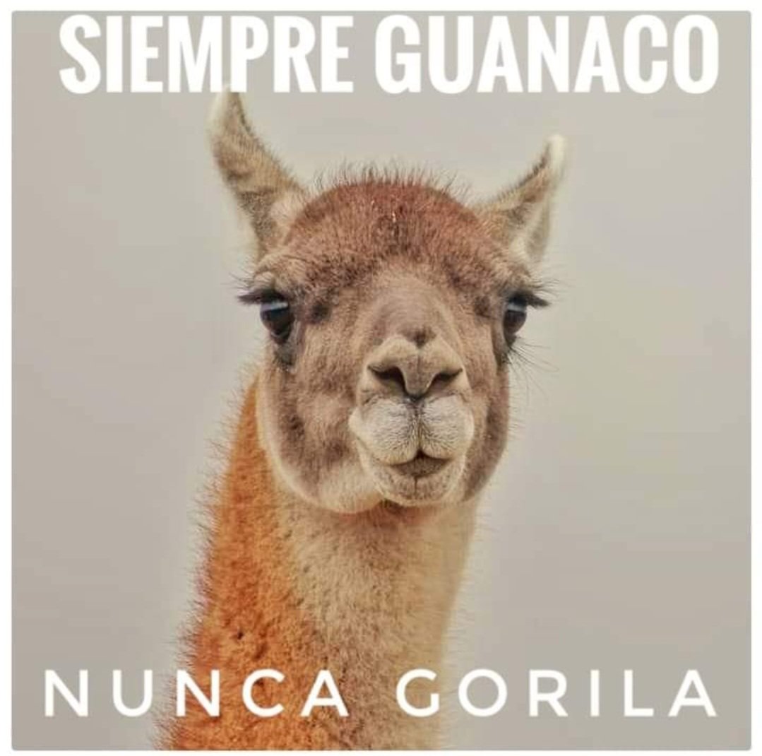 O sea... así de patagónico. Fin.