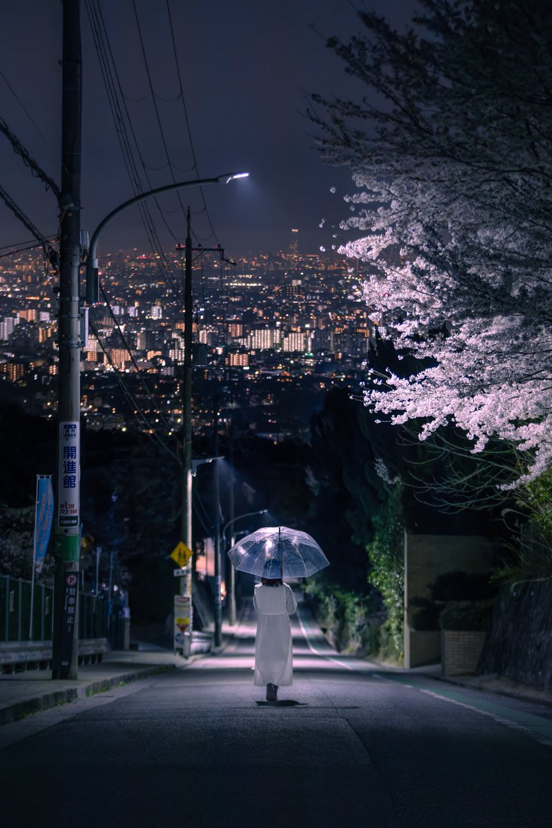 西宮に夜景と桜が美しすぎる坂道があった！