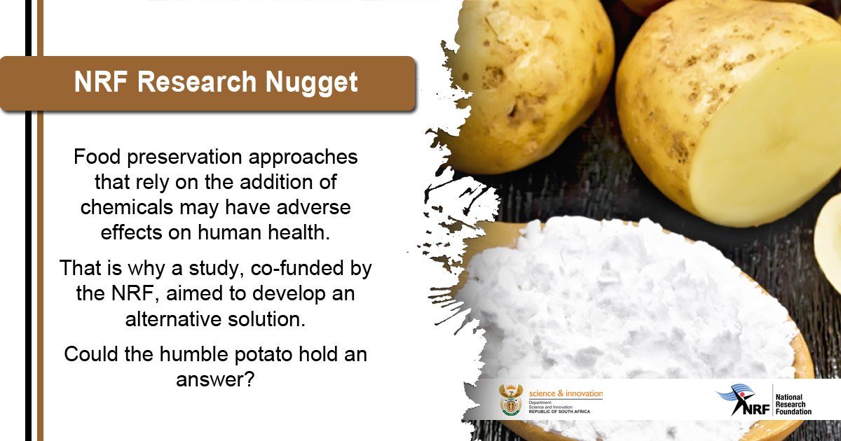 Read more about this NRF co-funded research study that aimed to develop a potato starch nanocomposite film for food packaging, with improved antioxidant activity and antibacterial properties. The film was enhanced with selenium nanoparticles: nrf.ac.za/selenium-nanop…