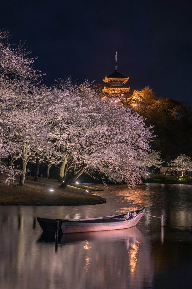 横浜に桜の美しい日本庭園があった！