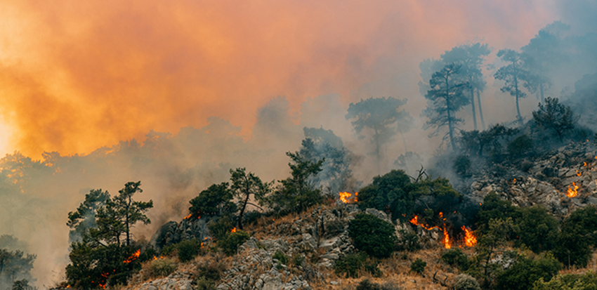 A major research programme led by @uniofeastanglia's Prof Rachel Warren and Dr Jeff Price quantifies how climate change risks increase at a national scale as the level of global warming increases 🌎 Read more here: uea.ac.uk/about/news/art…