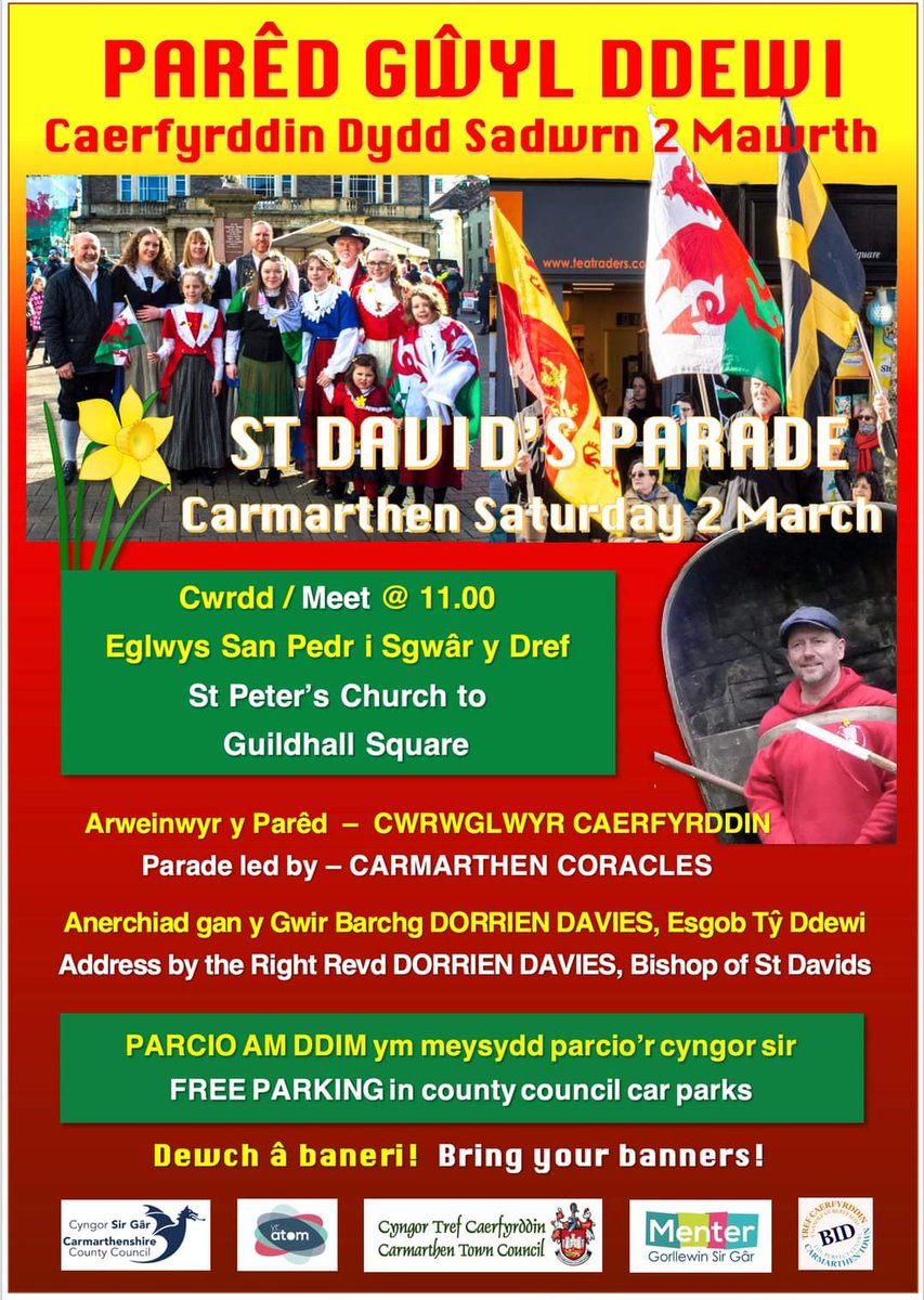 02.03.24 #DyddGŵylDewi #StDavidsDay #PethauBychain #RandomActsofWelshness #Daffodil #GŵylyDaffodil