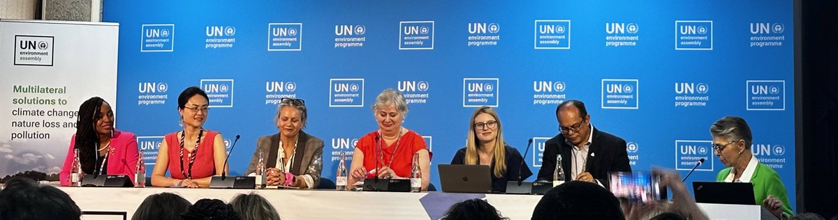 Chemistry is a man’s job Wrong! Not in 2023 when @SteffiLemke led a team of German women to deliver the #GlobalFrameworkonChemicals Not in 2024 at #UNEA6 where a panel on chemical #pollution & its chemistry, engineering & policy is 6 women (and the ever impressive @rolphpayet)