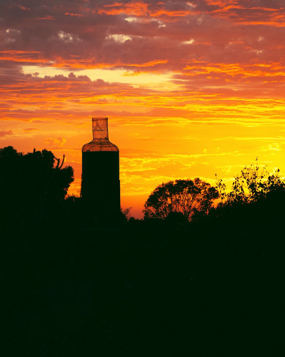 This morning's stunning sunrise colours in Rutherglen, looking towards the 'Big Wine Bottle', from the balcony of the Rutherglen Convent

#victoriashighcountry #explorerutherglen #bigwinebottle #sunrise #visitvictoria #seeaustralia #abcmyphoto #comeandsaygday #everybitdifferent