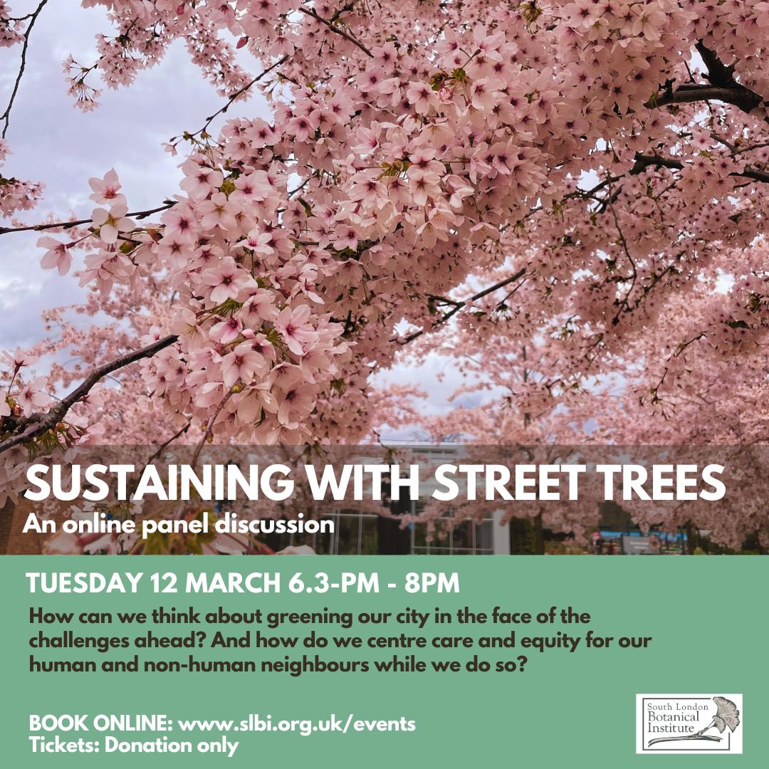 Sustaining with Street Trees (An online panel discussion)  Tuesday 12 March, 6.30pm – 8pm Speakers: Oli Back, Poppy George, Dr Mark Spencer and Russell Miller.  Book online, donations only: slbi.org.uk/event/sustaini… #SLBI #urbantrees #citytrees #letstalktrees
