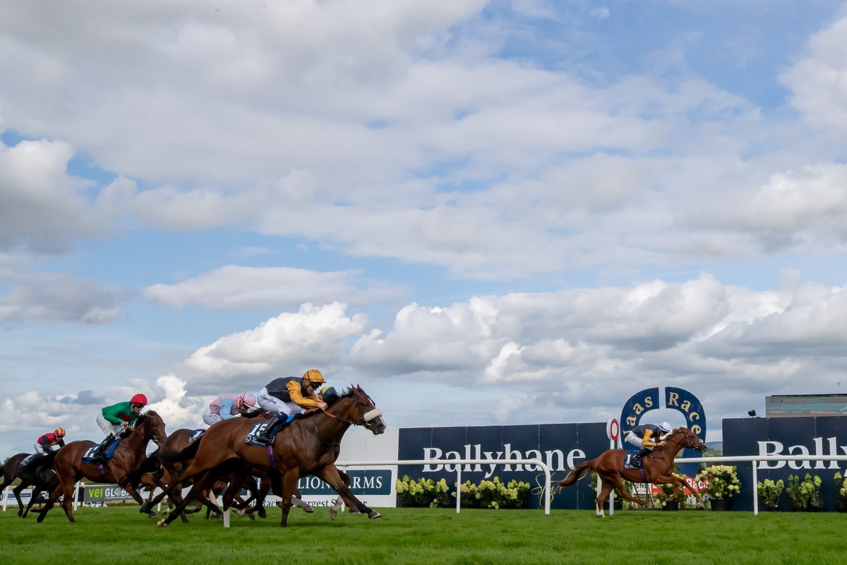 ATT Trainers & Owners❗️

Entries for the #RichestRaceAtNaas, the @IrishEBF_  @BallyhaneStud Stakes WEDNESDAY 6 MARCH⚡️
 
🗓️ 5 August 2024
 🏇2yos by EBF sire < €75k median  
💰Prize fund of €3⃣0⃣0⃣K
📝Just €250 to enter next Wed 6 March

Read more👉shorturl.at/eiI45
