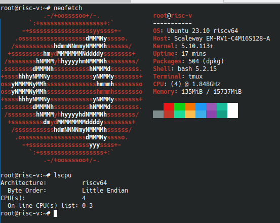 konkretor tweet media