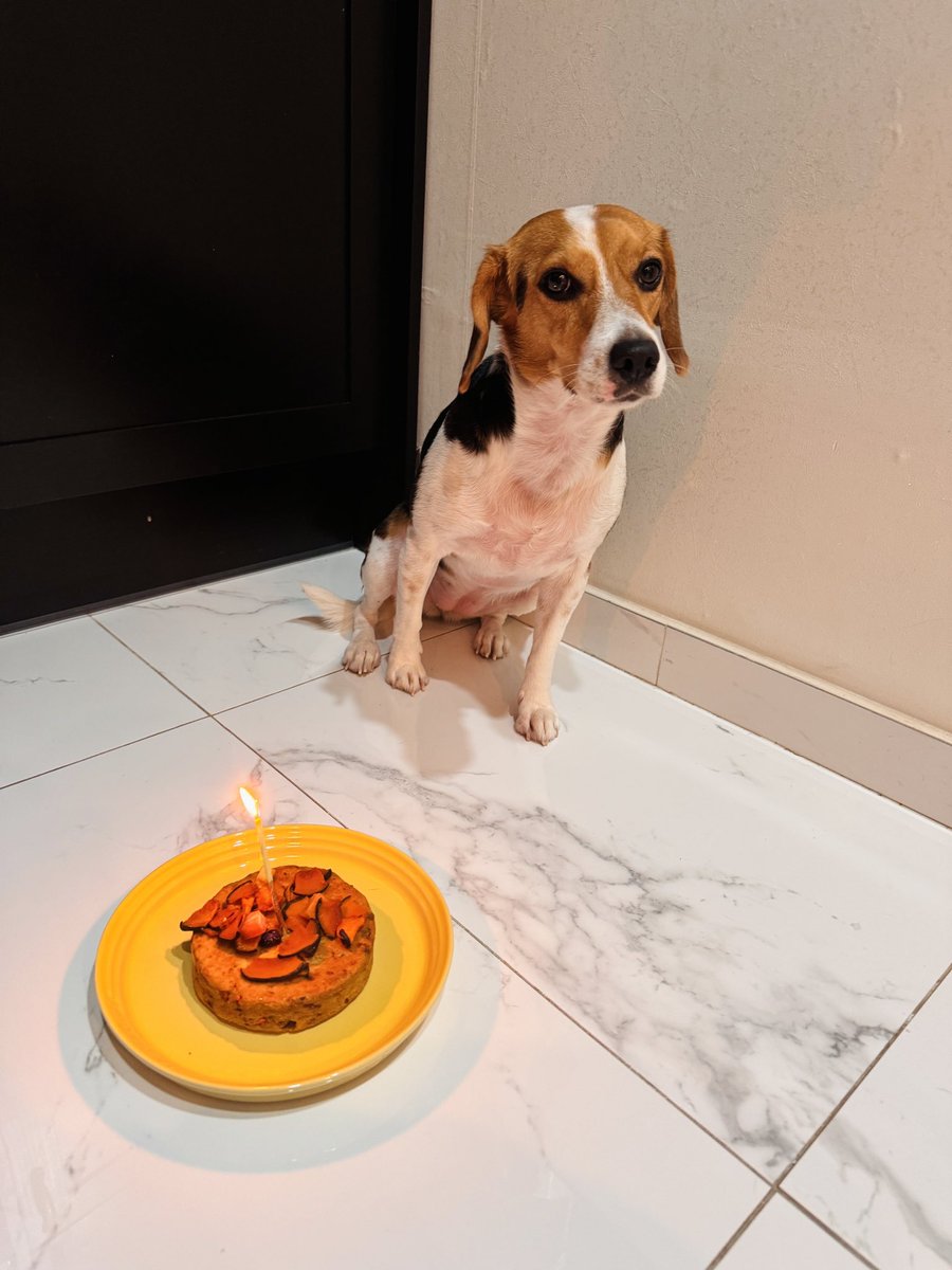 🍒 XIAOJUN JUDYDOLL tweet media