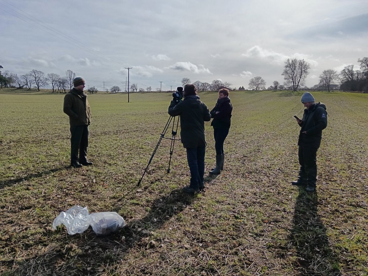 Cover crop trial filming with #SAOS and #SAC #FAStv