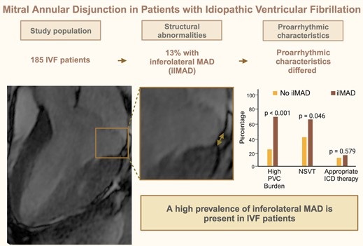 Marco Guglielmo MD, FEACVI, FSCCT (@marcoguglielmo) on Twitter photo Our study on MAD in idiopathic VF has been just published in EHJ Card Imaging! 🎉
👉Inferolateral MAD has a high prevalence in idiopathic VF
👉Inferolateral MAD is associated with high PVC burden and non-sustained VT.
<a href="/AnnaGiuliaPavon/">Anna Giulia Pavon</a> #whyCMR
<a href="/EACVIPresident/">EACVI President</a> <a href="/RNijveldt/">Robin Nijveldt</a> Our study on MAD in idiopathic VF has been just published in EHJ Card Imaging! 🎉
👉Inferolateral MAD has a high prevalence in idiopathic VF
👉Inferolateral MAD is associated with high PVC burden and non-sustained VT.
<a href="/AnnaGiuliaPavon/">Anna Giulia Pavon</a> #whyCMR
<a href="/EACVIPresident/">EACVI President</a> <a href="/RNijveldt/">Robin Nijveldt</a>